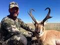 Pronghorn