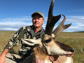 Pronghorn