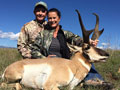 Pronghorn