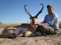 Pronghorn