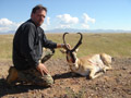 Pronghorn