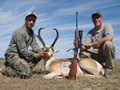 Pronghorn