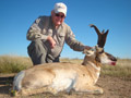 Pronghorn