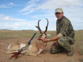 Pronghorn