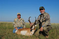 Pronghorn