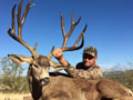 Sonora, Mexico Mule Deer