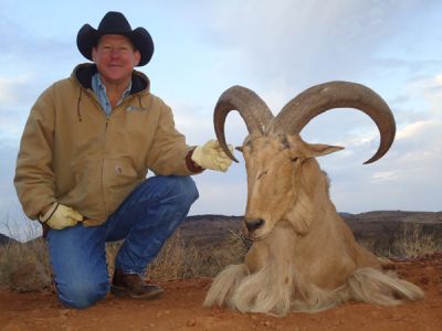 2011-12-Aoudad-1.jpg