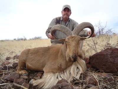 2011-12-Aoudad-14.jpg