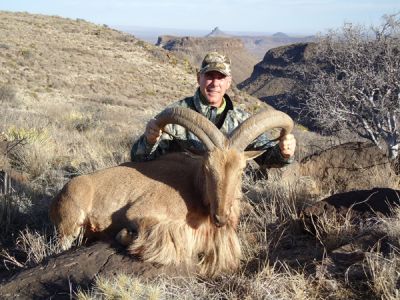 2011-12-Aoudad-20.jpg