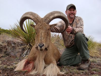 2011-12-Aoudad-26.jpg