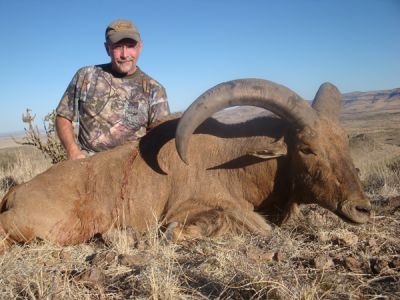 2011-12-Aoudad-4.jpg