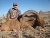 2011-12-Aoudad-4.jpg