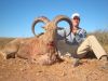 2011-12-aoudad-27.jpg