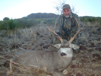 2011-Mgt-mdeer-10.jpg