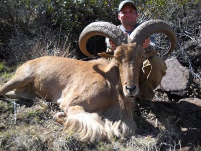 fraoudad03.jpg