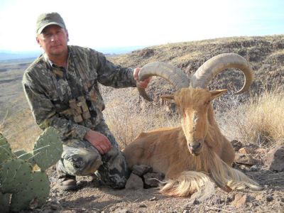 fraoudad08.jpg