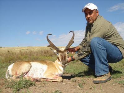 pronghorn03.jpg