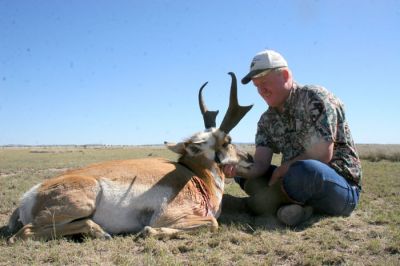 pronghorn21.jpg