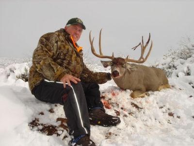 texasmuledeer04.jpg