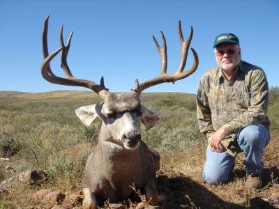 texasmuledeer09.jpg