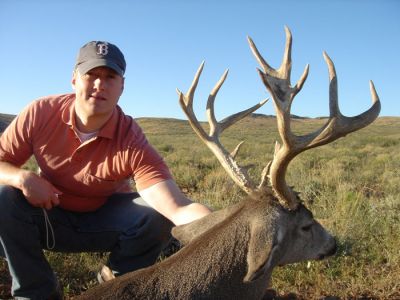 texasmuledeer10.jpg