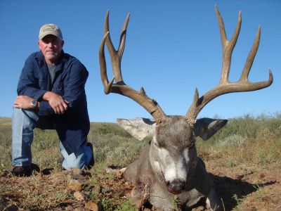 texasmuledeer11.jpg