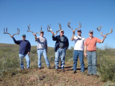 texasmuledeer12.jpg