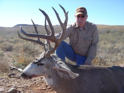 texasmuledeer15.jpg