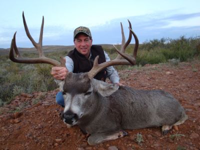 texasmuledeer18.jpg