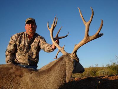 texasmuledeer21.jpg