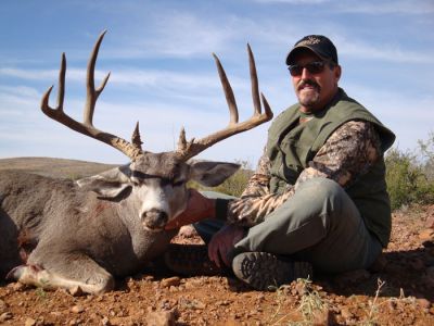 texasmuledeer22.jpg