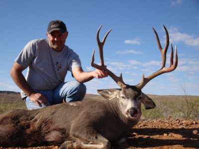 texasmuledeer24.jpg