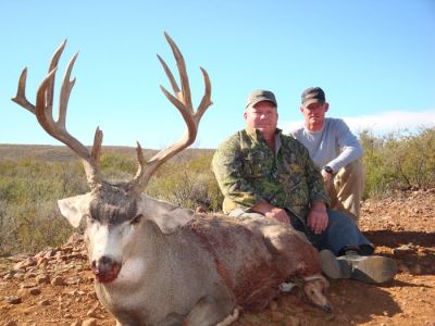 texasmuledeer26.jpg