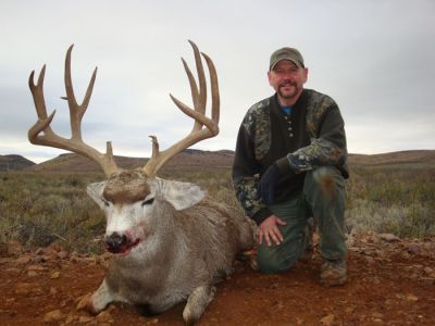 texasmuledeer28.jpg