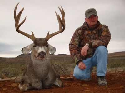 texasmuledeer29.jpg