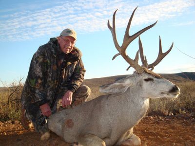 texasmuledeer31.jpg