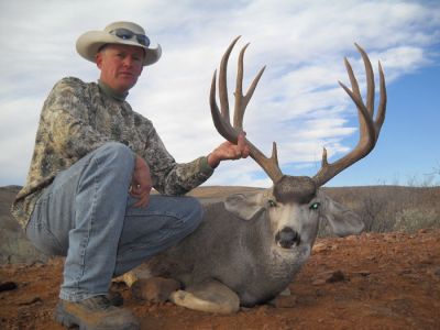 texasmuledeer34.jpg