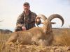 aoudad-5.jpg