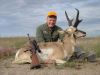 pronghorn01.jpg