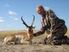 pronghorn05.jpg