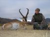 pronghorn07.jpg