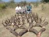 pronghorn11.jpg