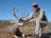 texasmuledeer07.jpg