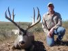 texasmuledeer13.jpg