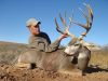 texasmuledeer16.jpg