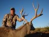 texasmuledeer21.jpg