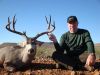 texasmuledeer23.jpg