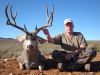 texasmuledeer25.jpg