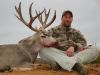 texasmuledeer27.jpg