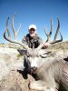 texasmuledeer36.jpg